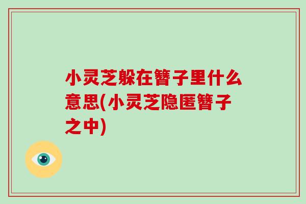 小灵芝躲在簪子里什么意思(小灵芝隐匿簪子之中)