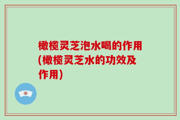 橄榄灵芝泡水喝的作用(橄榄灵芝水的功效及作用)