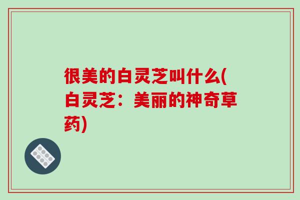很美的白灵芝叫什么(白灵芝：美丽的神奇草药)