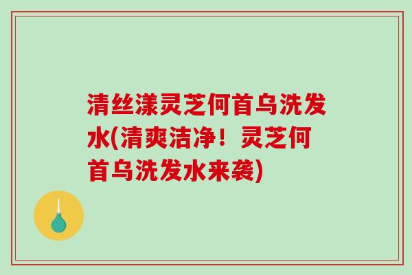 清丝漾灵芝何首乌洗发水(清爽洁净！灵芝何首乌洗发水来袭)