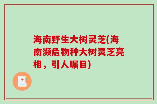 海南野生大树灵芝(海南濒危物种大树灵芝亮相,引人瞩目) 海南野生大树灵芝(海南濒危物种大树灵芝亮相,引人瞩目)