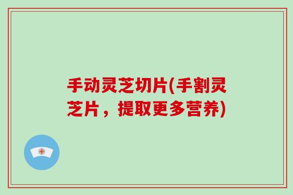 手动灵芝切片(手割灵芝片，提取更多营养)