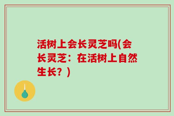 活树上会长灵芝吗(会长灵芝：在活树上自然生长？)