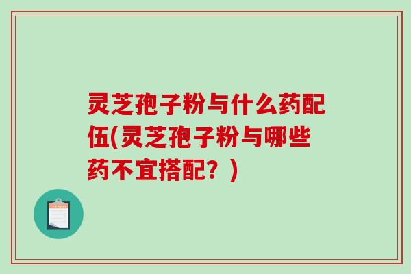 灵芝孢子粉与什么药配伍(灵芝孢子粉与哪些药不宜搭配？)