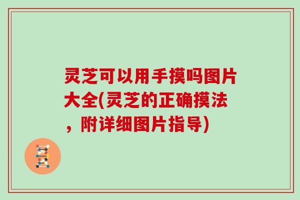 灵芝可以用手摸吗图片大全(灵芝的正确摸法，附详细图片指导)
