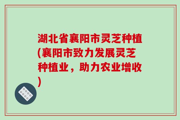 湖北省襄阳市灵芝种植(襄阳市致力发展灵芝种植业，助力农业增收)