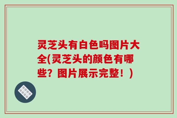 灵芝头有白色吗图片大全(灵芝头的颜色有哪些？图片展示完整！)