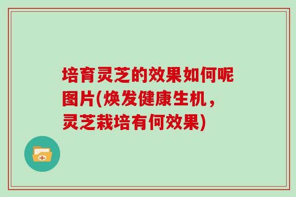 培育灵芝的效果如何呢图片(焕发健康生机，灵芝栽培有何效果)