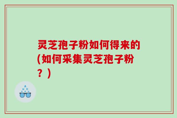 灵芝孢子粉如何得来的(如何采集灵芝孢子粉？)