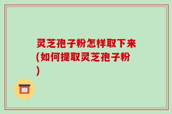 灵芝孢子粉怎样取下来(如何提取灵芝孢子粉)