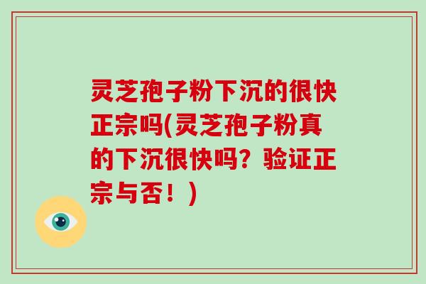 灵芝孢子粉下沉的很快正宗吗(灵芝孢子粉真的下沉很快吗？验证正宗与否！)