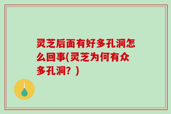 灵芝后面有好多孔洞怎么回事(灵芝为何有众多孔洞？)