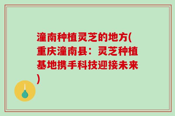 潼南种植灵芝的地方(重庆潼南县：灵芝种植基地携手科技迎接未来)