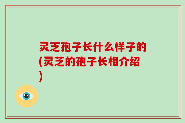 灵芝孢子长什么样子的(灵芝的孢子长相介绍)