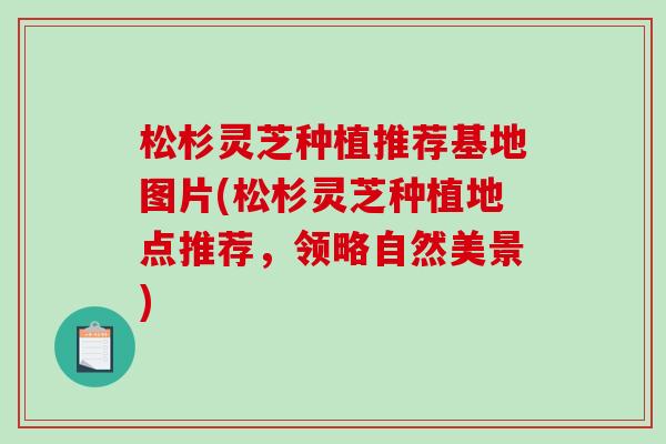 松杉灵芝种植推荐基地图片(松杉灵芝种植地点推荐,领略自然美景) 松杉灵芝种植推荐基地图片(松杉灵芝种植地点推荐,领略自然美景)