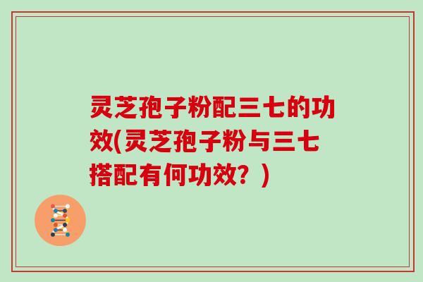 灵芝孢子粉配三七的功效(灵芝孢子粉与三七搭配有何功效？)