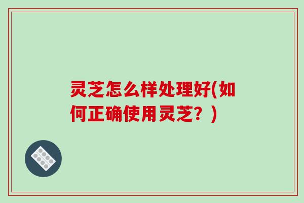灵芝怎么样处理好(如何正确使用灵芝？)