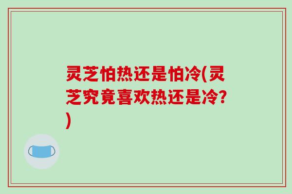 灵芝怕热还是怕冷(灵芝究竟喜欢热还是冷？)