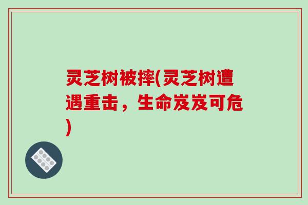 灵芝树被摔(灵芝树遭遇重击，生命岌岌可危)