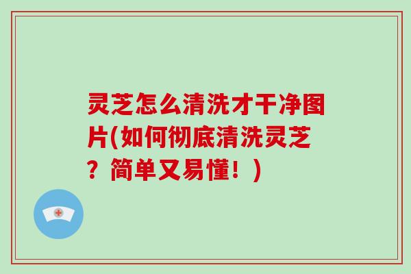灵芝怎么清洗才干净图片(如何彻底清洗灵芝？简单又易懂！)