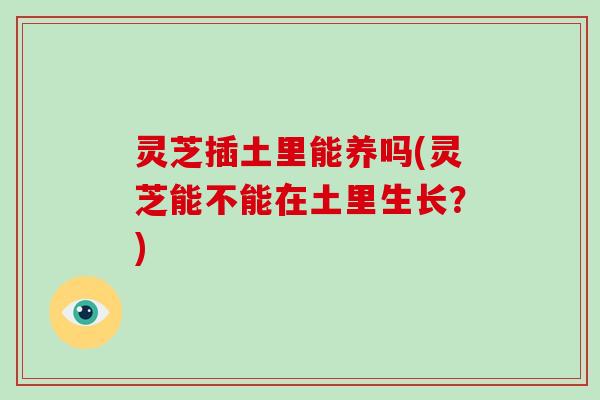 灵芝插土里能养吗(灵芝能不能在土里生长？)