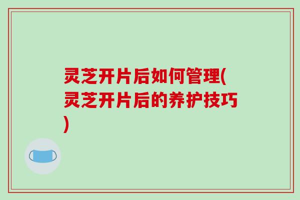 灵芝开片后如何管理(灵芝开片后的养护技巧)