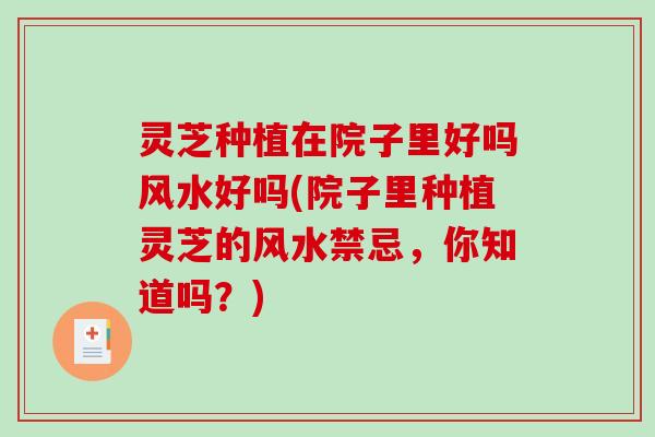 灵芝种植在院子里好吗风水好吗(院子里种植灵芝的风水禁忌，你知道吗？)