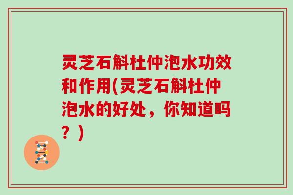 灵芝石斛杜仲泡水功效和作用(灵芝石斛杜仲泡水的好处，你知道吗？)