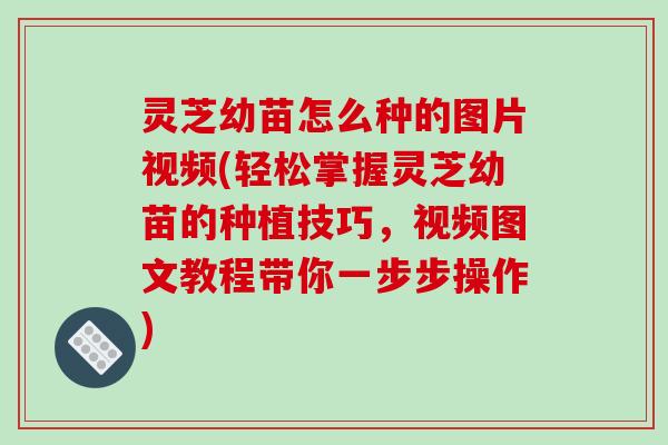 灵芝幼苗怎么种的图片视频(轻松掌握灵芝幼苗的种植技巧，视频图文教程带你一步步操作)