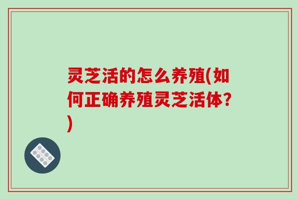 灵芝活的怎么养殖(如何正确养殖灵芝活体？)