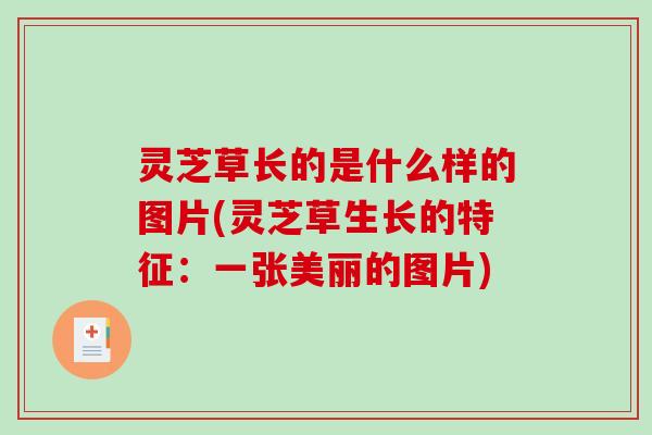 灵芝草长的是什么样的图片(灵芝草生长的特征：一张美丽的图片)