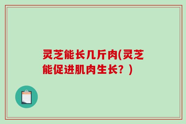 灵芝能长几斤肉(灵芝能促进肌肉生长？)