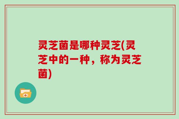 灵芝菌是哪种灵芝(灵芝中的一种，称为灵芝菌)