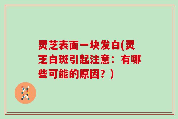 灵芝表面一块发白(灵芝白斑引起注意：有哪些可能的原因？)