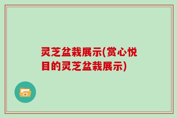 灵芝盆栽展示(赏心悦目的灵芝盆栽展示)
