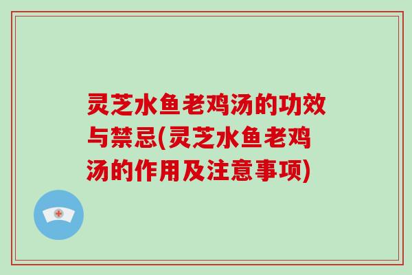 灵芝水鱼老鸡汤的功效与禁忌(灵芝水鱼老鸡汤的作用及注意事项)