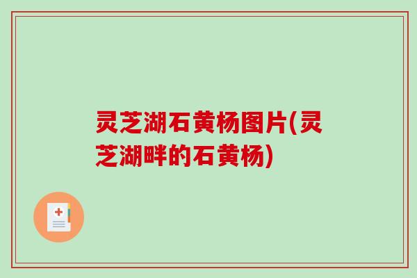 灵芝湖石黄杨图片(灵芝湖畔的石黄杨)