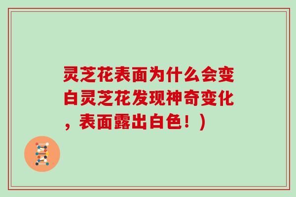 灵芝花表面为什么会变白灵芝花发现神奇变化，表面露出白色！)
