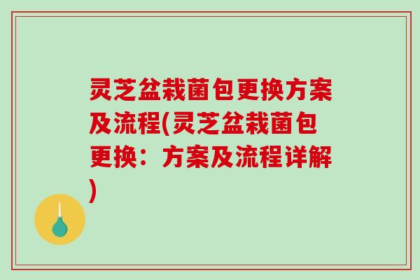 灵芝盆栽菌包更换方案及流程(灵芝盆栽菌包更换：方案及流程详解)