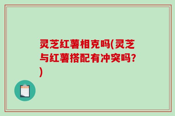 灵芝红薯相克吗(灵芝与红薯搭配有冲突吗?) 灵芝红薯相克吗(灵芝与红薯搭配有冲突吗?)