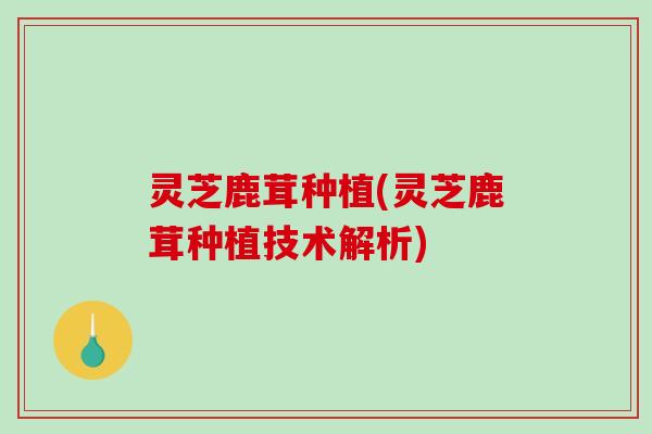 灵芝鹿茸种植(灵芝鹿茸种植技术解析)