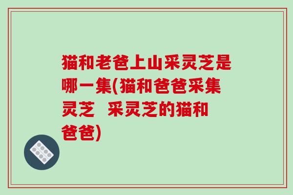 猫和老爸上山采灵芝是哪一集(猫和爸爸采集灵芝  采灵芝的猫和爸爸)
