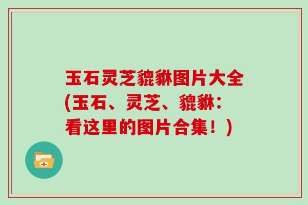 玉石灵芝貔貅图片大全(玉石、灵芝、貔貅：看这里的图片合集！)
