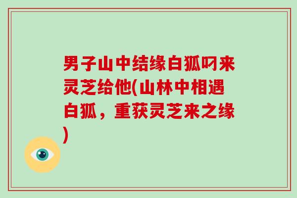男子山中结缘白狐叼来灵芝给他(山林中相遇白狐，重获灵芝来之缘)
