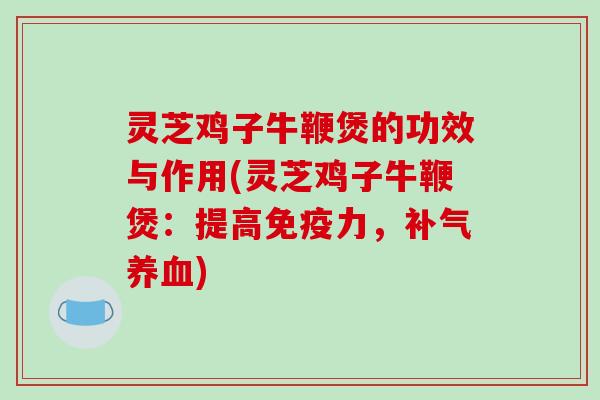 灵芝鸡子牛鞭煲的功效与作用(灵芝鸡子牛鞭煲：提高免疫力，)