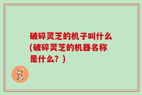 破碎灵芝的机子叫什么(破碎灵芝的机器名称是什么？)