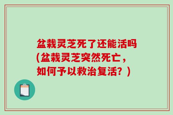 盆栽灵芝死了还能活吗(盆栽灵芝突然死亡，如何予以救复活？)