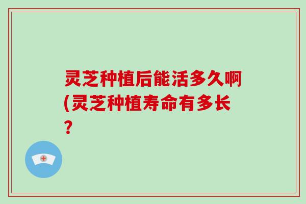灵芝种植后能活多久啊(灵芝种植寿命有多长？