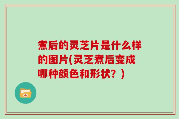 煮后的灵芝片是什么样的图片(灵芝煮后变成哪种颜色和形状？)