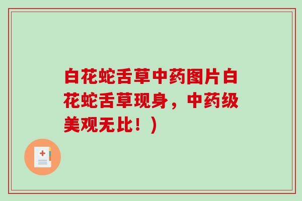 白花蛇舌草图片白花蛇舌草现身，级美观无比！)